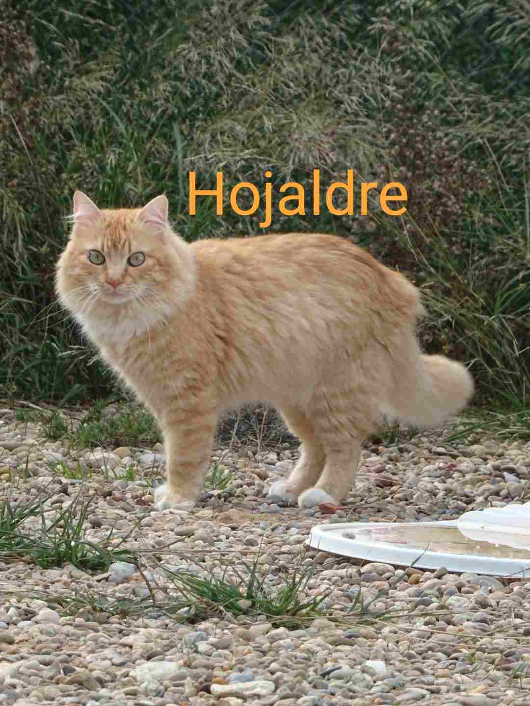 Hojaldre